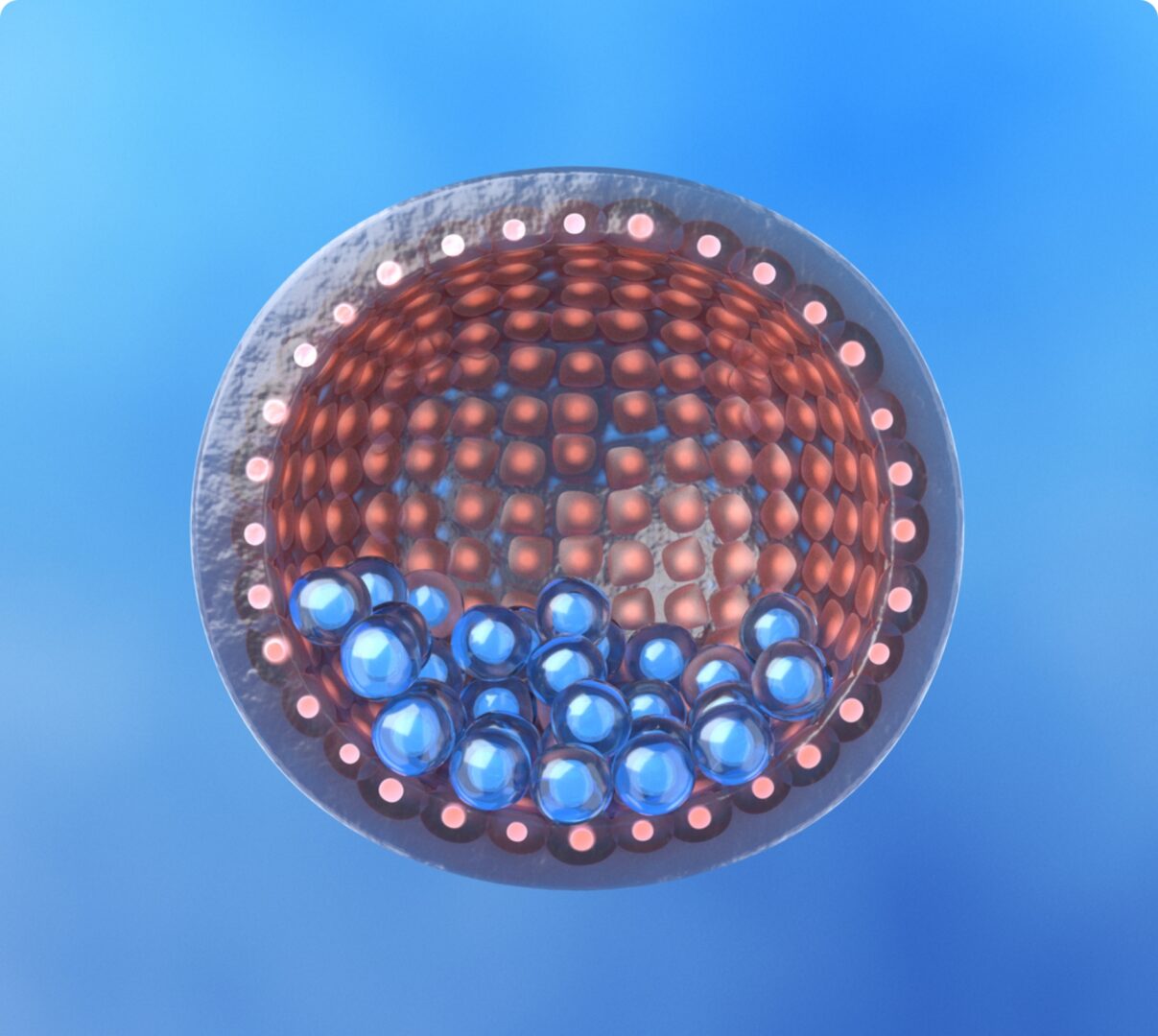Blastocyst Transfer Reproductive Partners Fertility Center San Diego