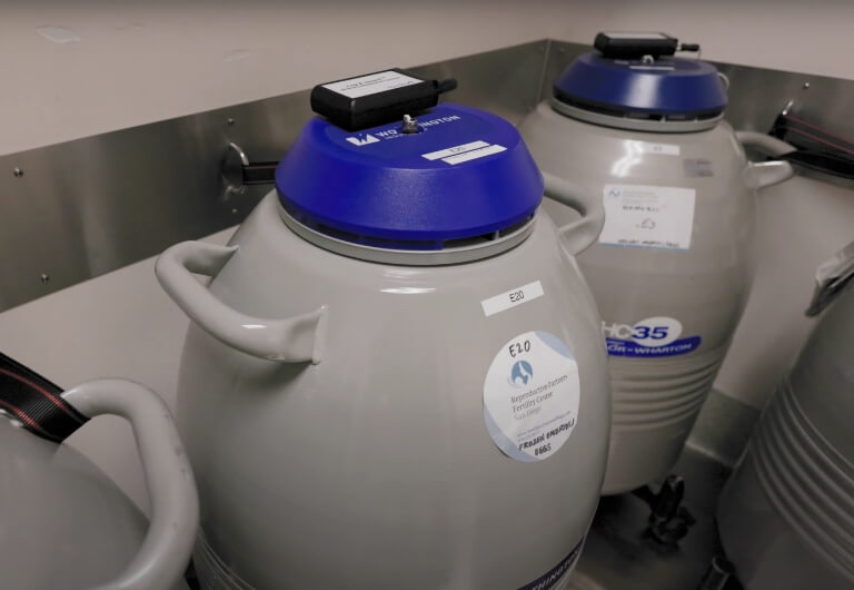 Egg Freezing for Fertility Preservation in San Diego