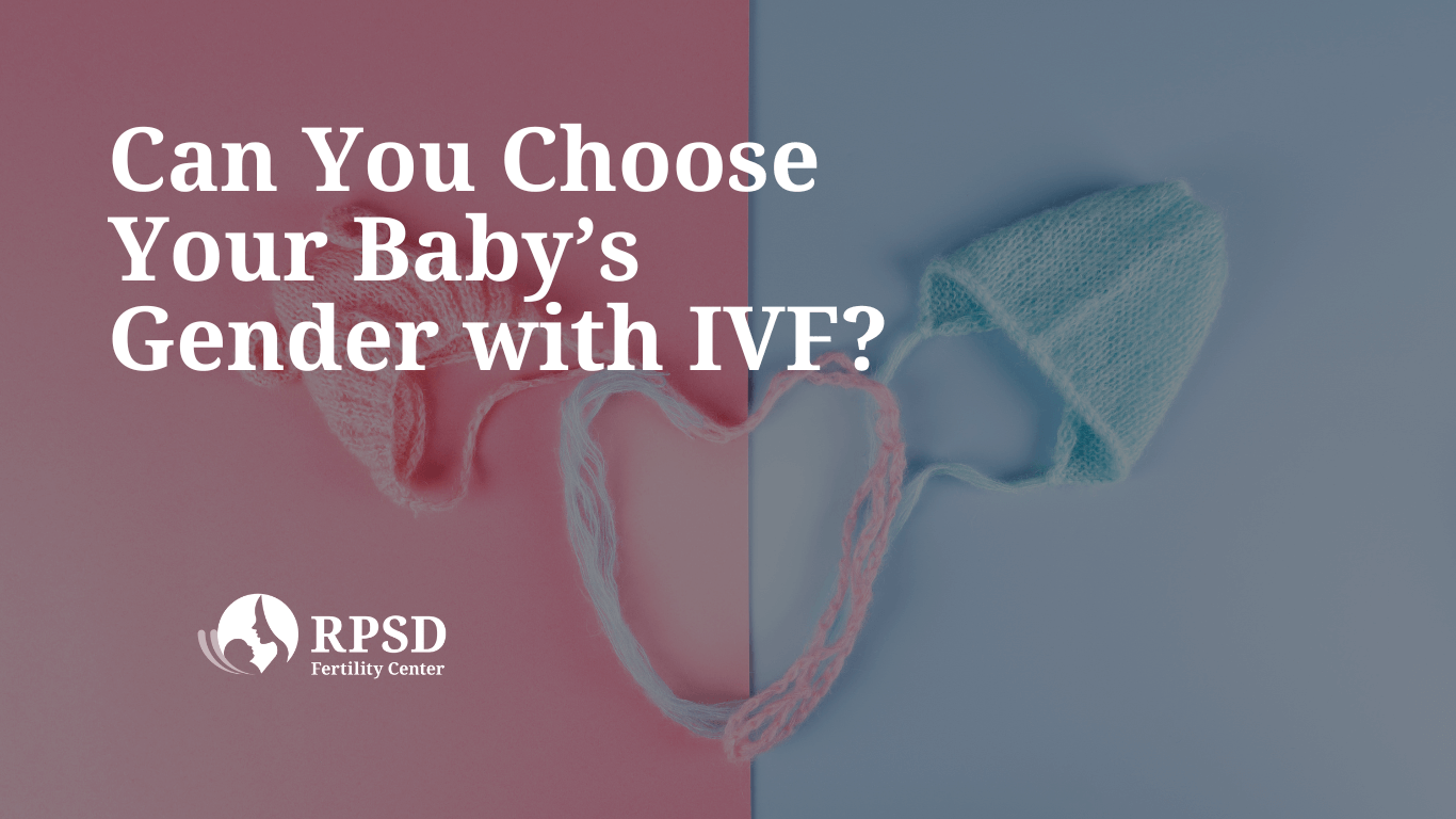 Embryologist examining embryos during IVF genetic testing for gender selection at RPSD San Diego